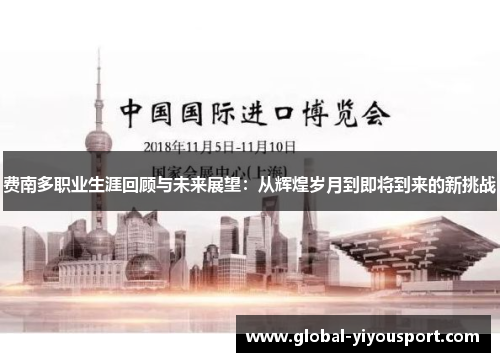 费南多职业生涯回顾与未来展望：从辉煌岁月到即将到来的新挑战