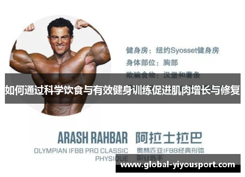如何通过科学饮食与有效健身训练促进肌肉增长与修复